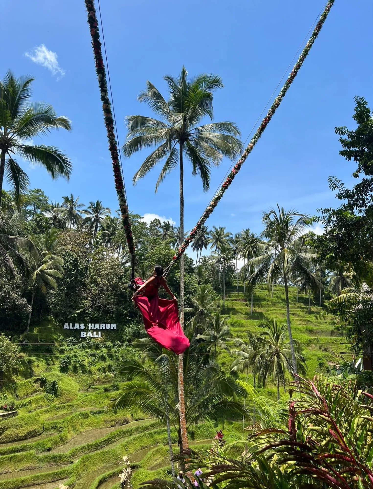 The jungle swing over the rice terraces, Bali